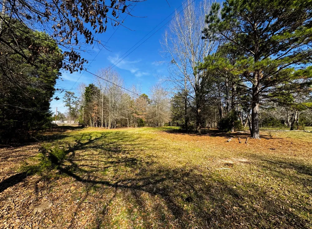 CR 3545 Leesburg, TX 75451