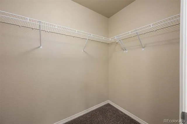 6005 Clarence Drive Windsor, CO 80550