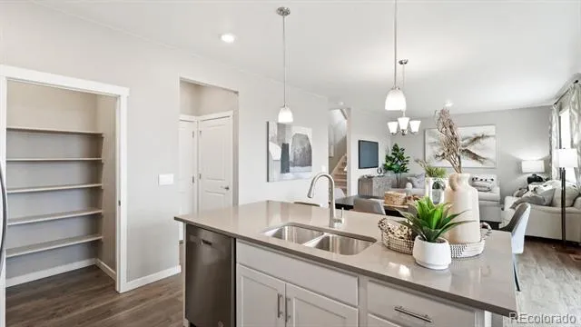 18743 E 99th Avenue Commerce City, CO 80022