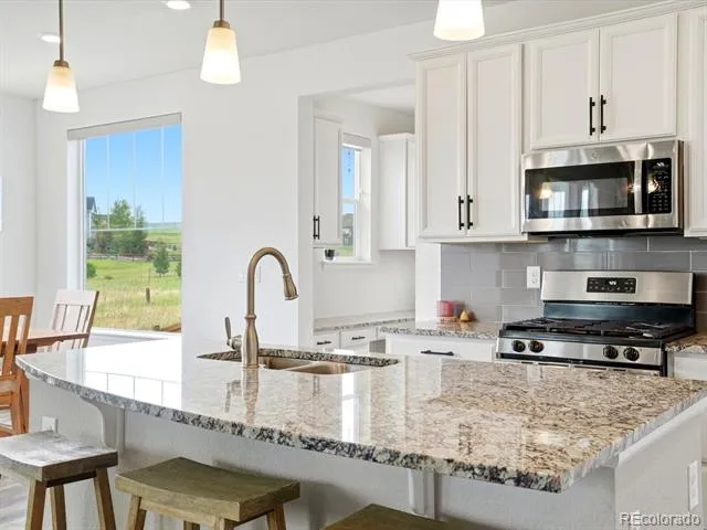 1313 Black Haw Street Elizabeth, CO 80107
