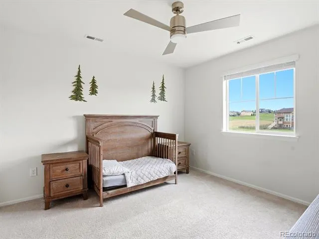 1313 Black Haw Street Elizabeth, CO 80107