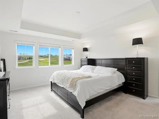 1313 Black Haw Street Elizabeth, CO 80107