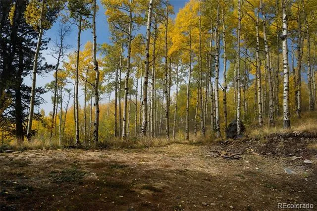 0 Robinson Hill Road Golden, CO 80403
