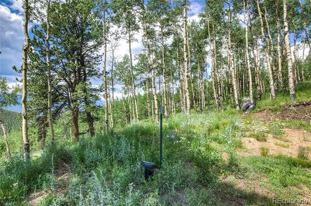 0 Robinson Hill Road Golden, CO 80403