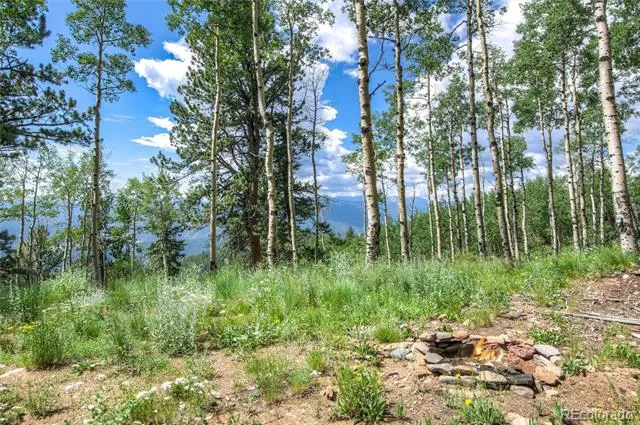 0 Robinson Hill Road Golden, CO 80403