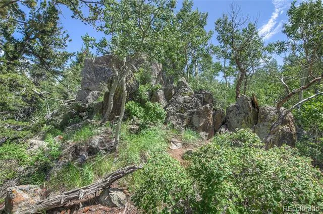 0 Robinson Hill Road Golden, CO 80403