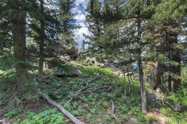 0 Robinson Hill Road Golden, CO 80403