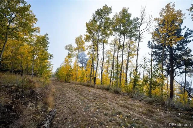 0 Robinson Hill Road Golden, CO 80403