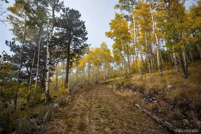 0 Robinson Hill Road Golden, CO 80403