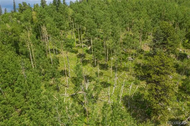 0 Robinson Hill Road Golden, CO 80403
