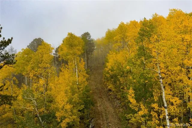 0 Robinson Hill Road Golden, CO 80403