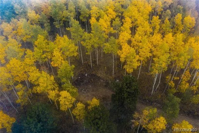 0 Robinson Hill Road Golden, CO 80403