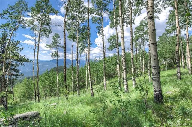 0 Robinson Hill Road Golden, CO 80403