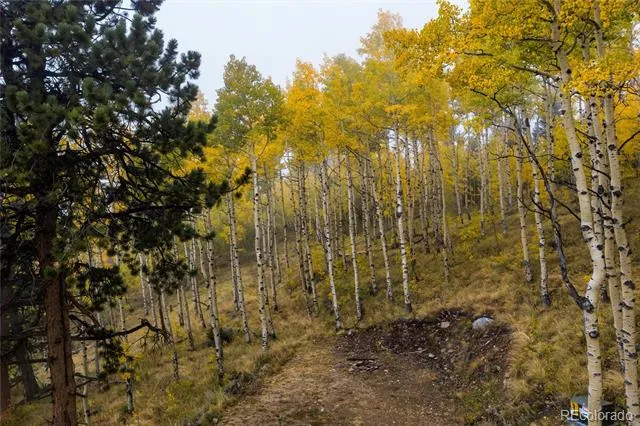 0 Robinson Hill Road Golden, CO 80403