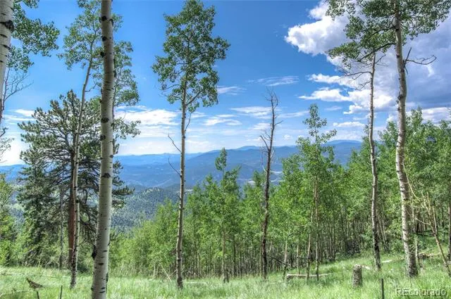 0 Robinson Hill Road Golden, CO 80403