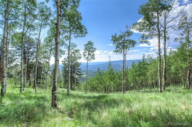 0 Robinson Hill Road Golden, CO 80403