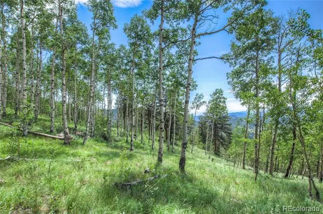 0 Robinson Hill Road Golden, CO 80403