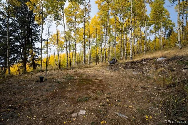 0 Robinson Hill Road Golden, CO 80403