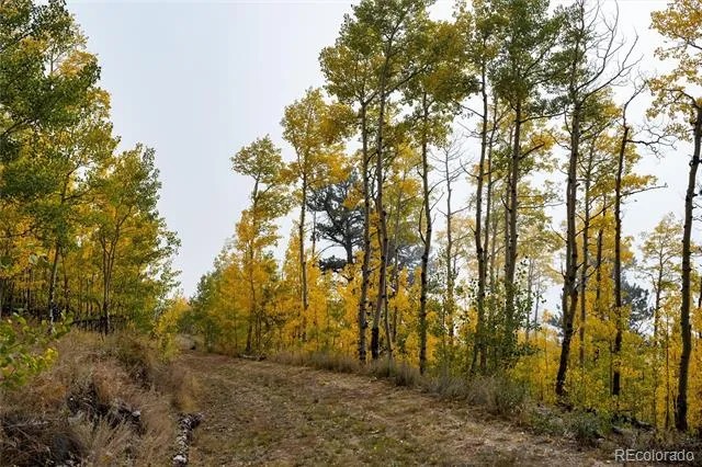 0 Robinson Hill Road Golden, CO 80403
