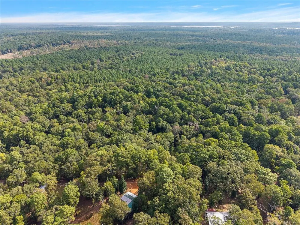 White Oak Drive Etoile, TX 75944
