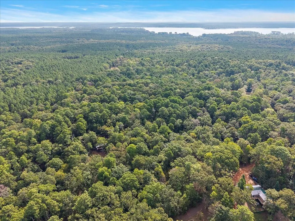 White Oak Drive Etoile, TX 75944