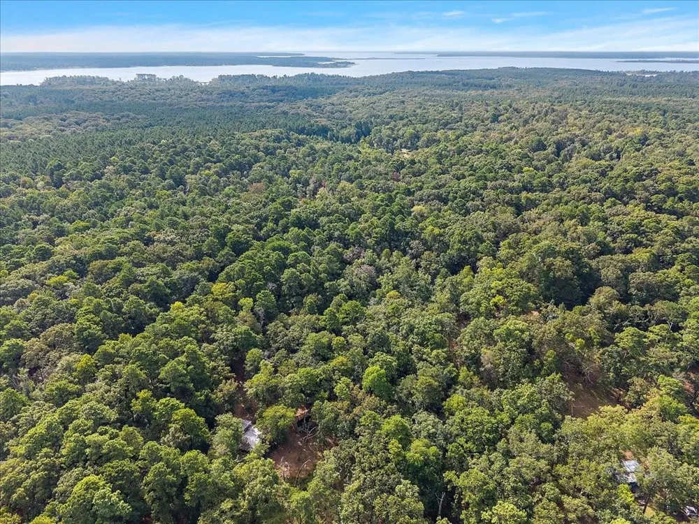 White Oak Drive Etoile, TX 75944
