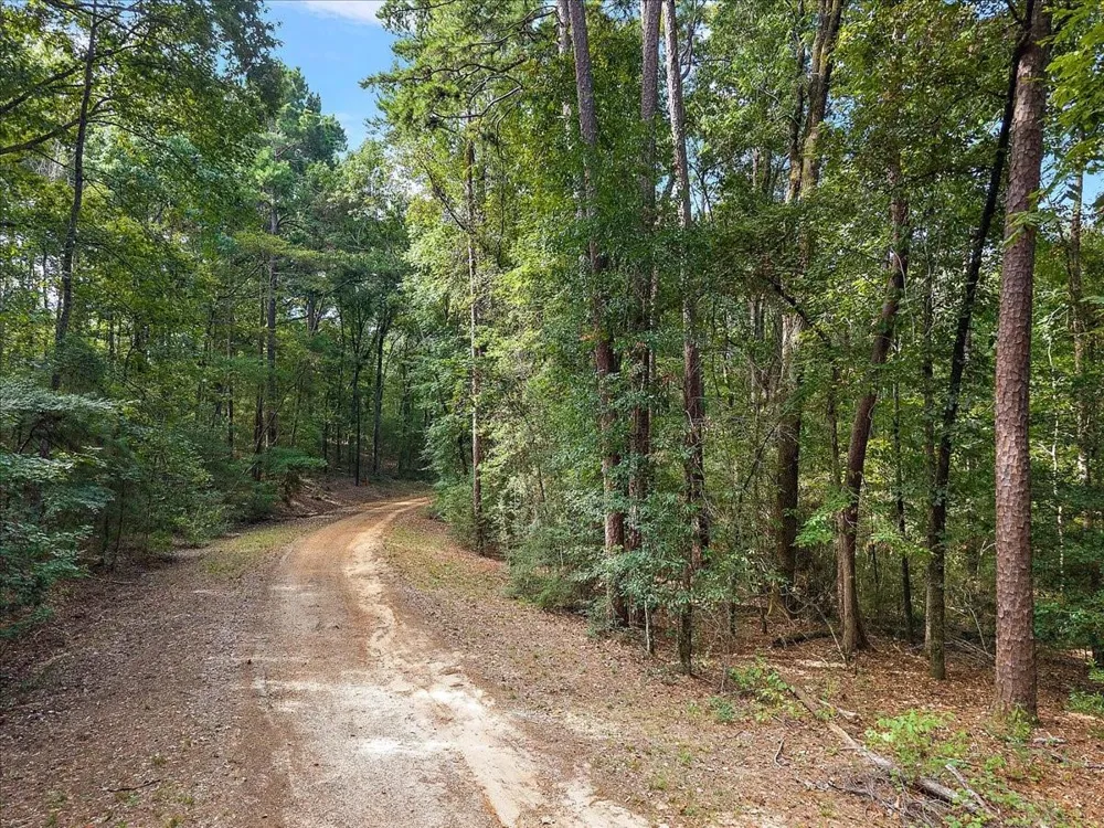 White Oak Drive Etoile, TX 75944