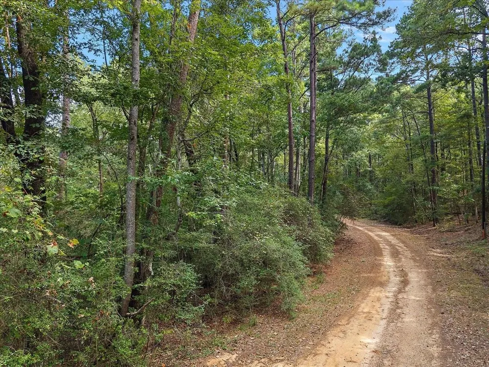 White Oak Drive Etoile, TX 75944