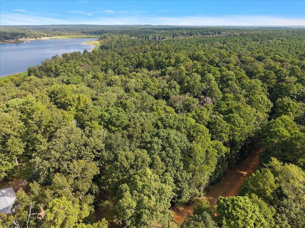White Oak Drive Etoile, TX 75944