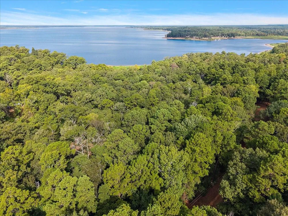 White Oak Drive Etoile, TX 75944