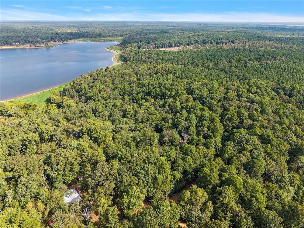 White Oak Drive Etoile, TX 75944