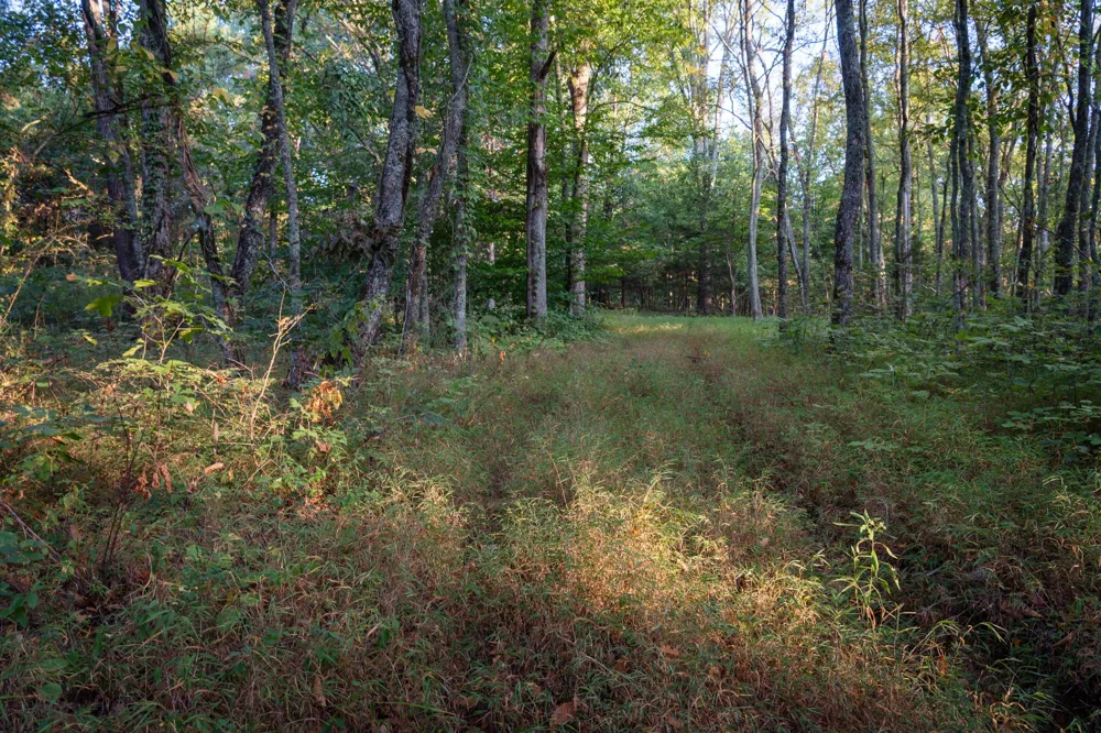 0 Choctaw Road College Grove, TN 37046