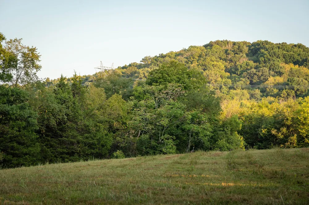 0 Choctaw Road College Grove, TN 37046