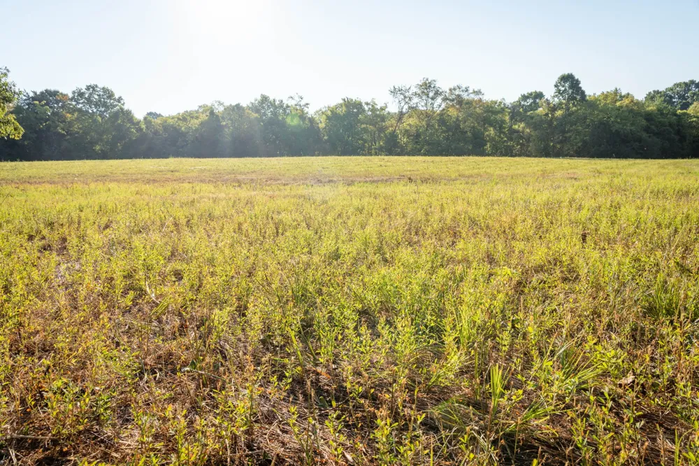0 Choctaw Road College Grove, TN 37046