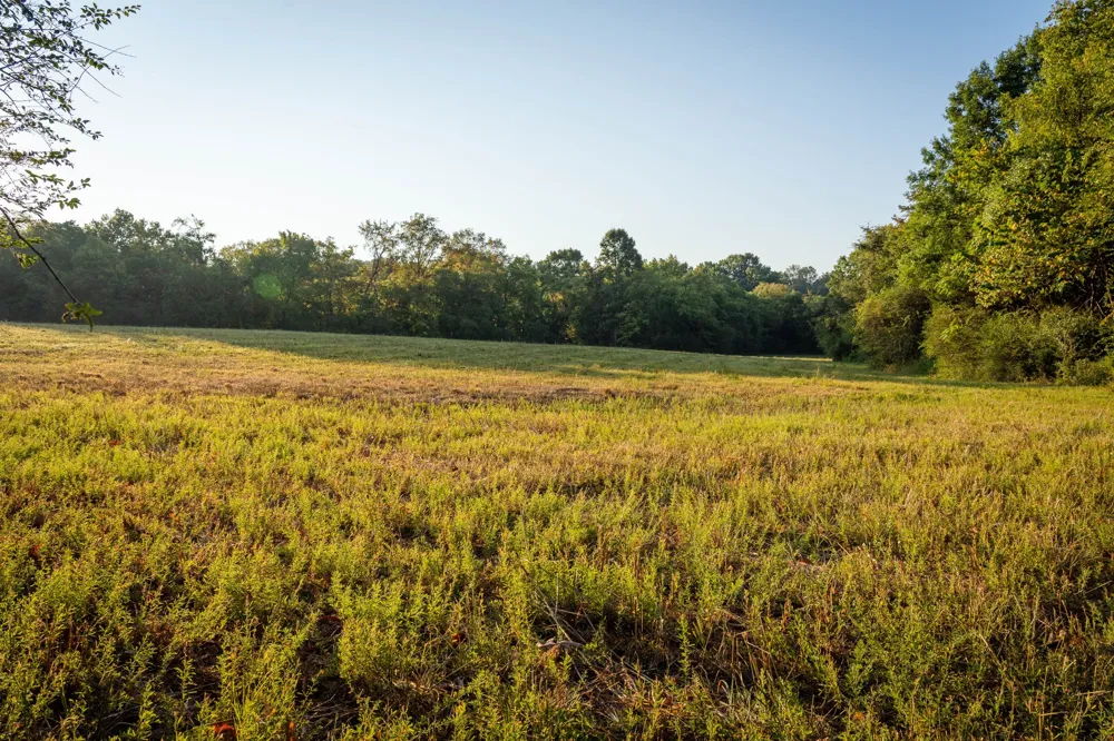 0 Choctaw Road College Grove, TN 37046