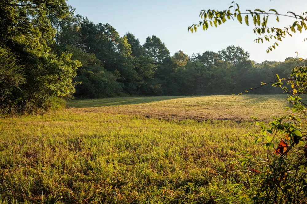 0 Choctaw Road College Grove, TN 37046