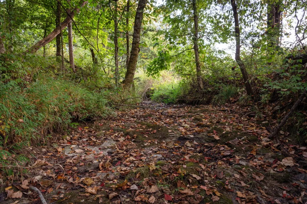 0 Choctaw Road College Grove, TN 37046