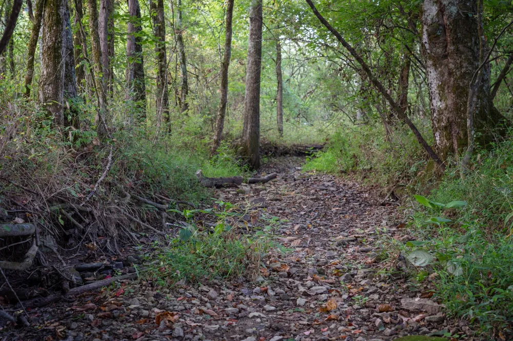 0 Choctaw Road College Grove, TN 37046