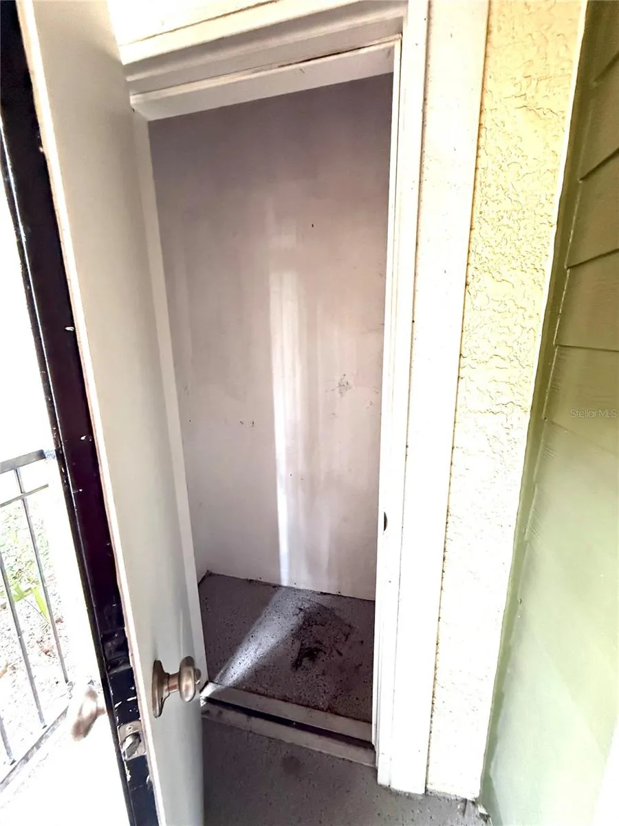 1810 E PALM AVENUE #5119 Tampa, FL 33605