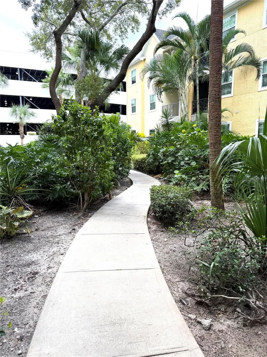 1810 E PALM AVENUE #5119 Tampa, FL 33605