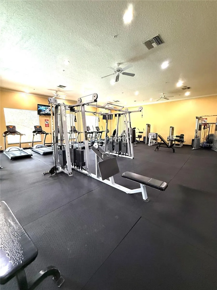 1810 E PALM AVENUE #5119 Tampa, FL 33605