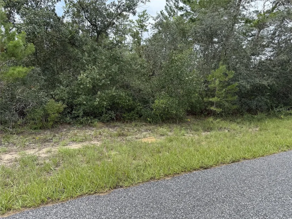 4282 W THRUSH DRIVE Citrus Springs, FL 34433