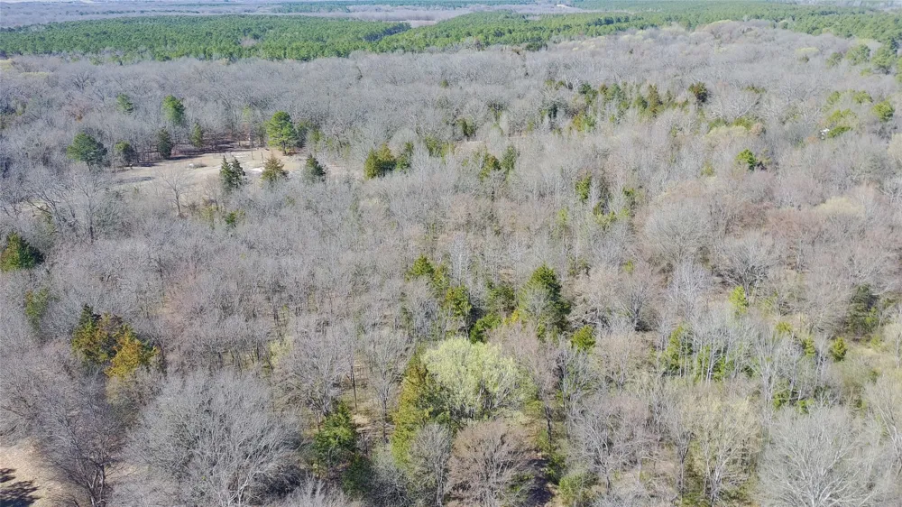 937 CR 1135 Mt Pleasant, TX 75455