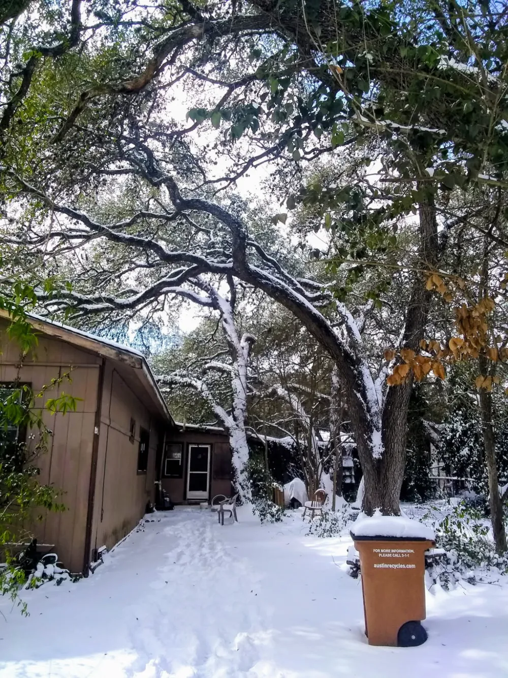 8002 Persimmon Trail Austin, TX 78745