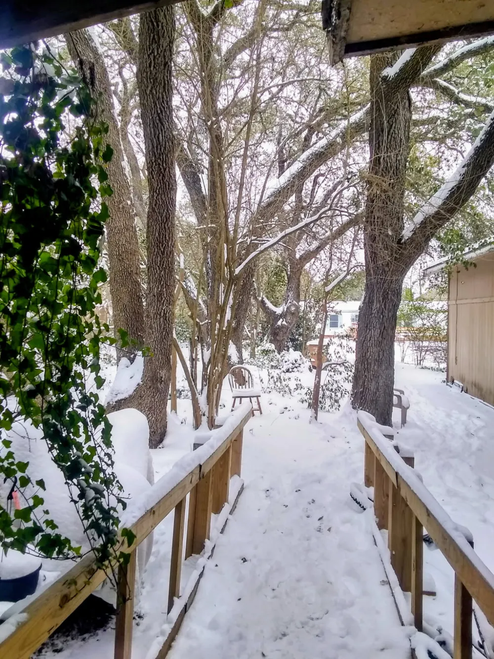 8002 Persimmon Trail Austin, TX 78745