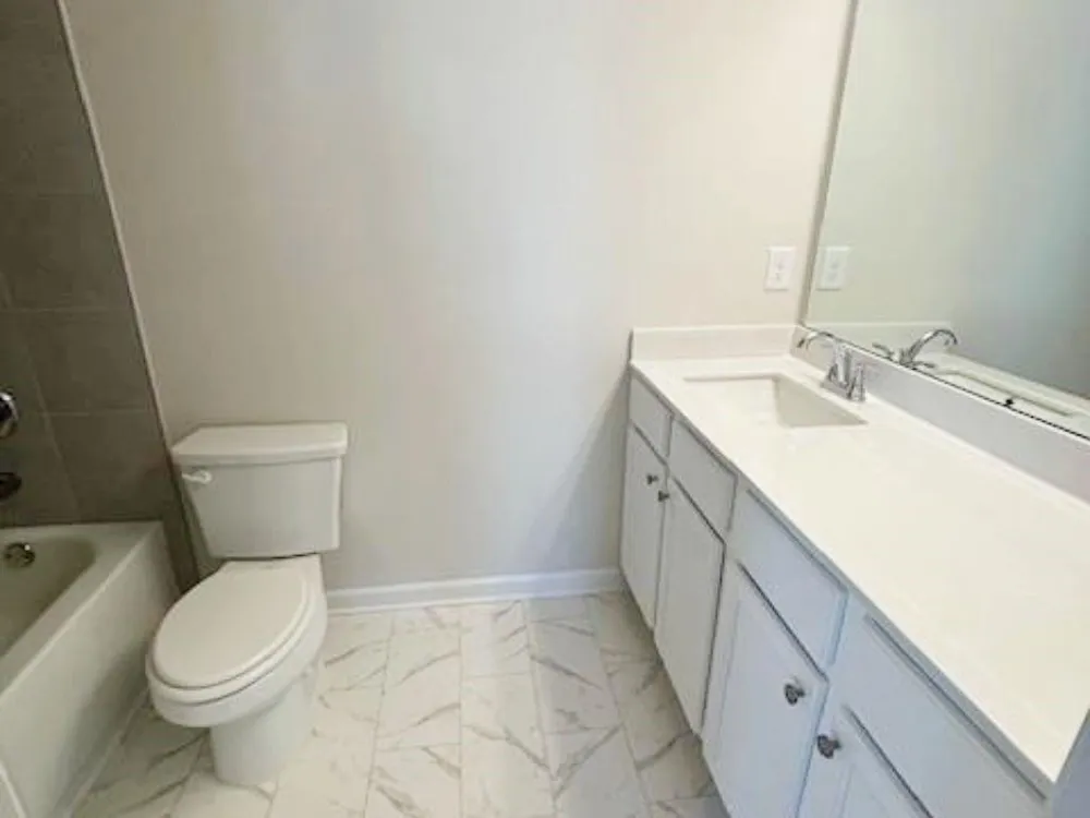 3112 Wild Clary (Lot 48) Court Buford, GA 30519