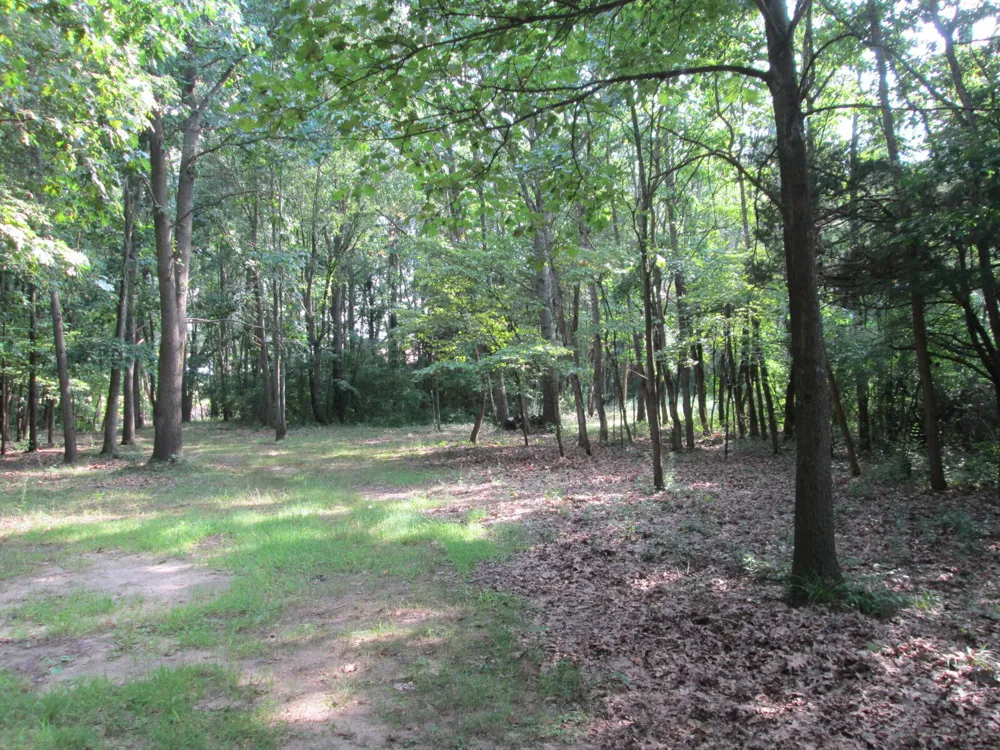 69624 Gumwood Road Niles, MI 49120