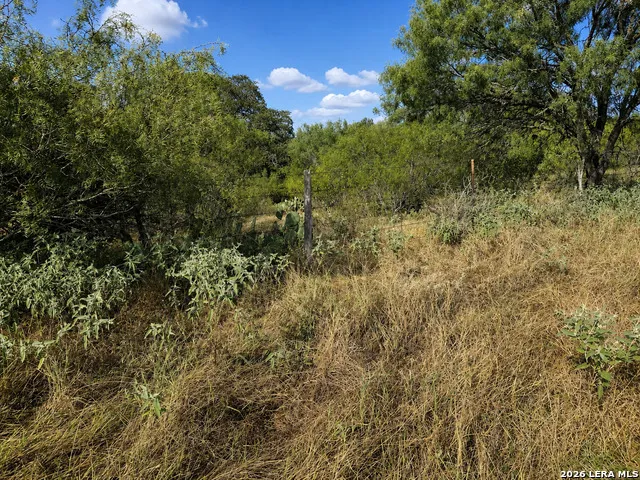 0 FM 1333 Poteet, TX 78065