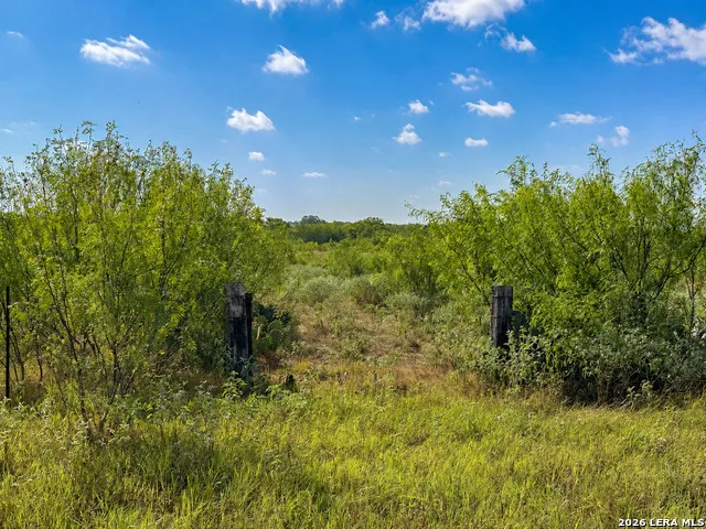 0 FM 1333 Poteet, TX 78065