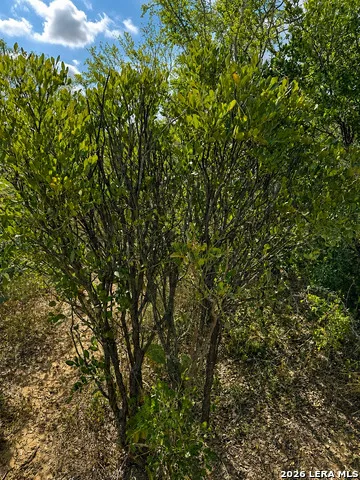0 FM 1333 Poteet, TX 78065